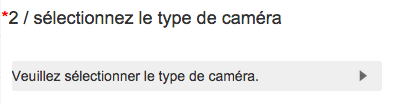 choix du type de caméra IP